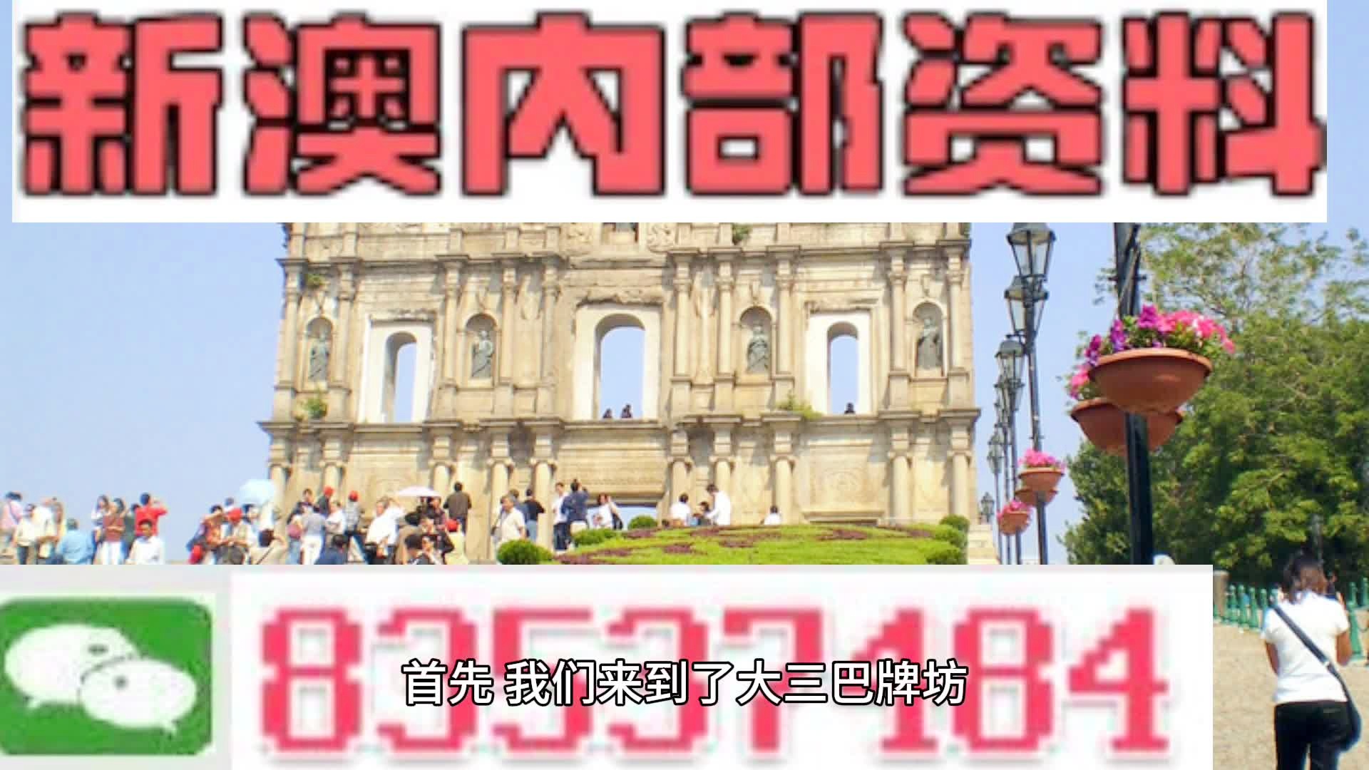 2024新澳精准资料免费提供下载,实地考察数据解析_Premium35.170