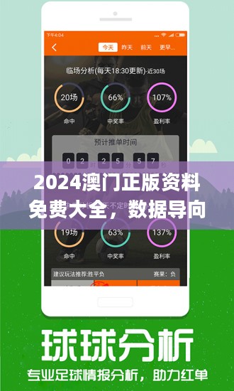 澳门800图库精准,创新性执行策略规划_限定版94.674